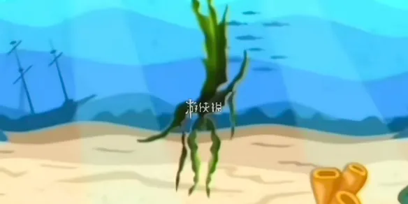 特辣的海藻梗介绍